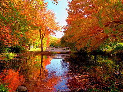 晒秋天——香山公园一角